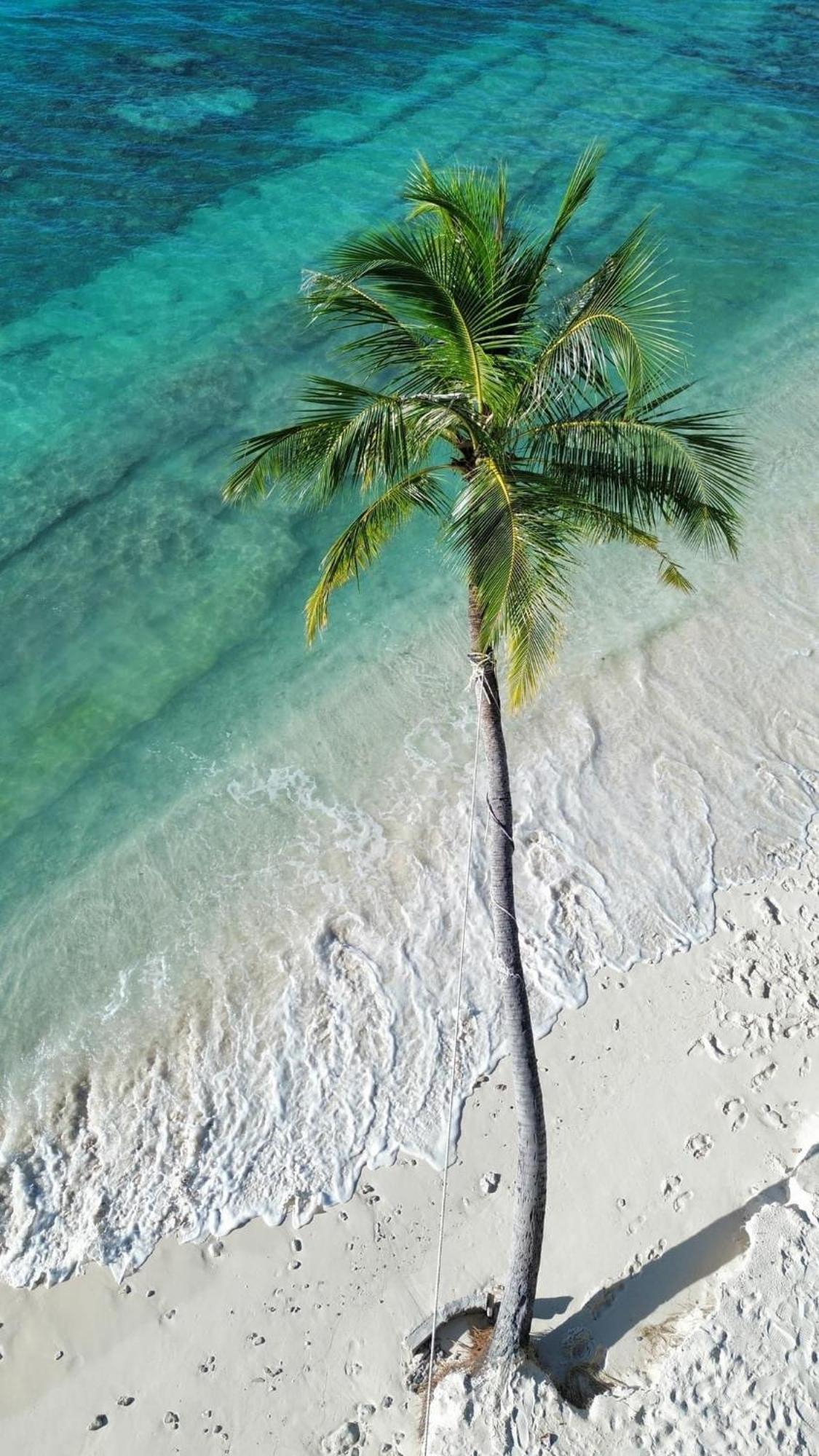 Island Scuba Inn Dhangethi Zewnętrze zdjęcie