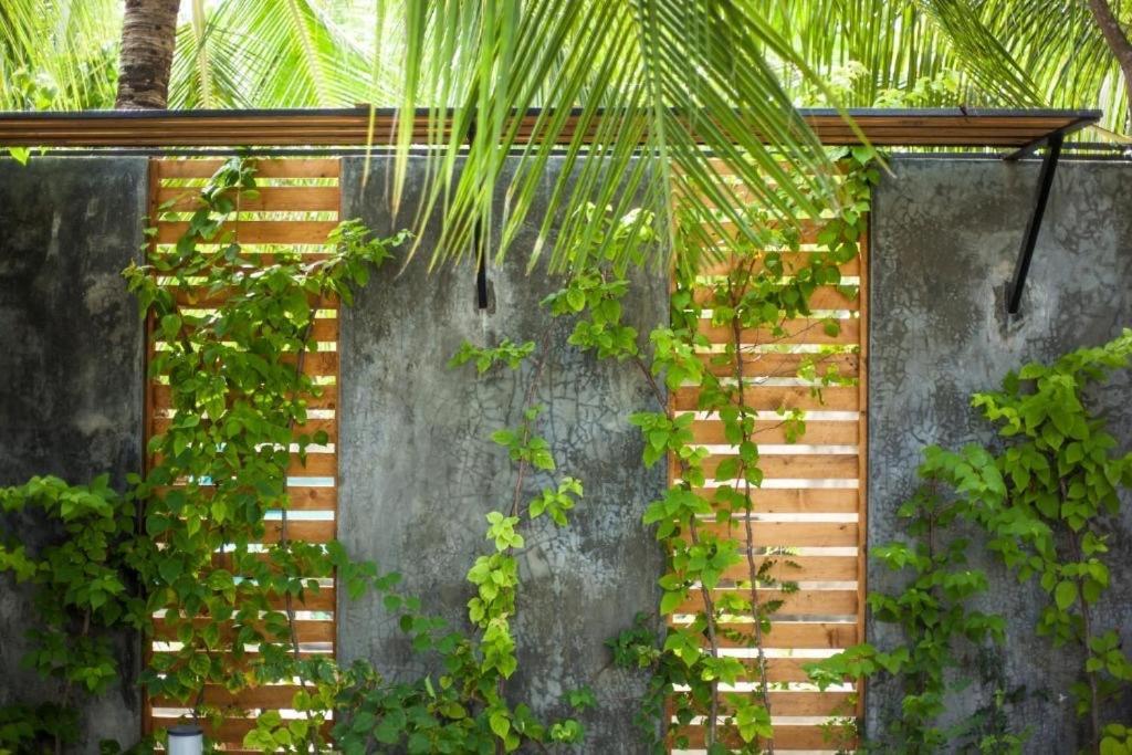 Island Scuba Inn Dhangethi Zewnętrze zdjęcie